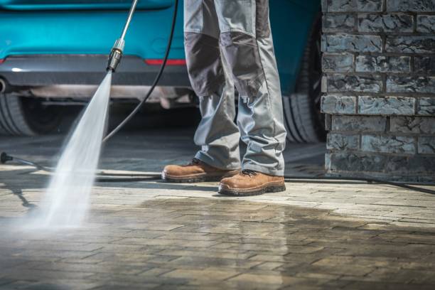 Best Pre-Holiday Cleaning  in Arcola, VA